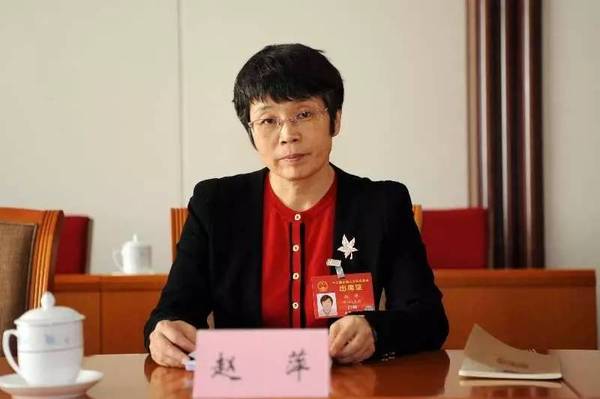 東方風電趙萍：海上風機大型化是趨勢，中國已落后一步