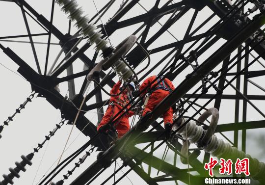 圖為電力工人在70多米高空作業(yè)，為特高壓復(fù)奉線重慶段進行八年來首次大修。　周毅 攝