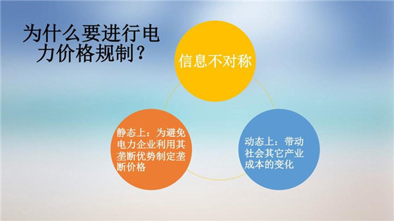 我國電力價格規(guī)制現狀、存在的問題及原因分析